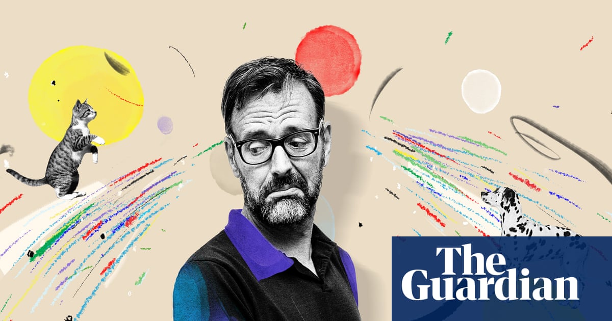 Tim Dowling: after a year of ignoring each other, the cat and the dog have declared war | Family