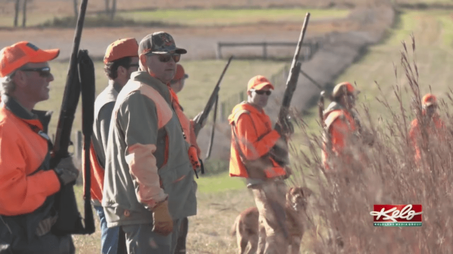 Traditional pheasant season kicks off in South Dakota
