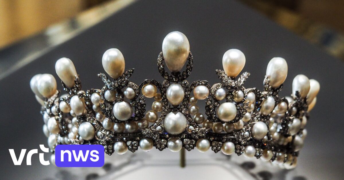 Van "artnapping" voor grof geldgewin tot pasmunt voor doorgewinterde criminelen: waarom dieven het op kunst hebben gemunt