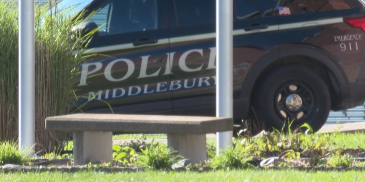 Vermont State Police to expand role in search for missing Middlebury College student