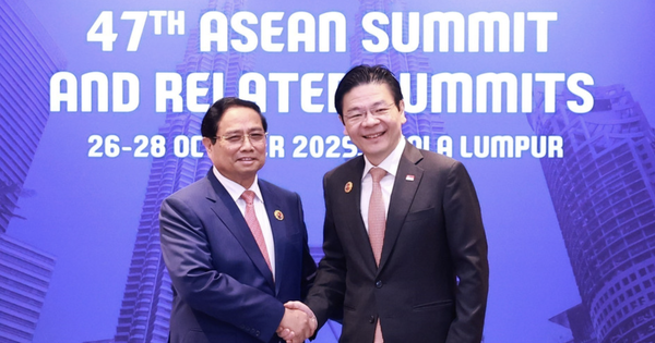 Vietnam, Singapore aim to develop smarter, greener VSIP system