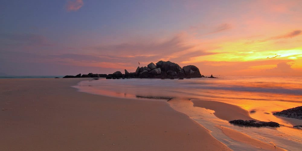 Visitor Arrivals Up by 12%