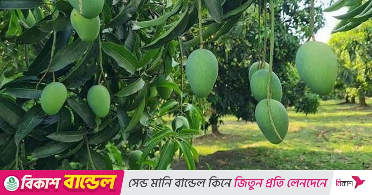 Water-smart farming takes root in Barind to tackle climate, irrigation stress