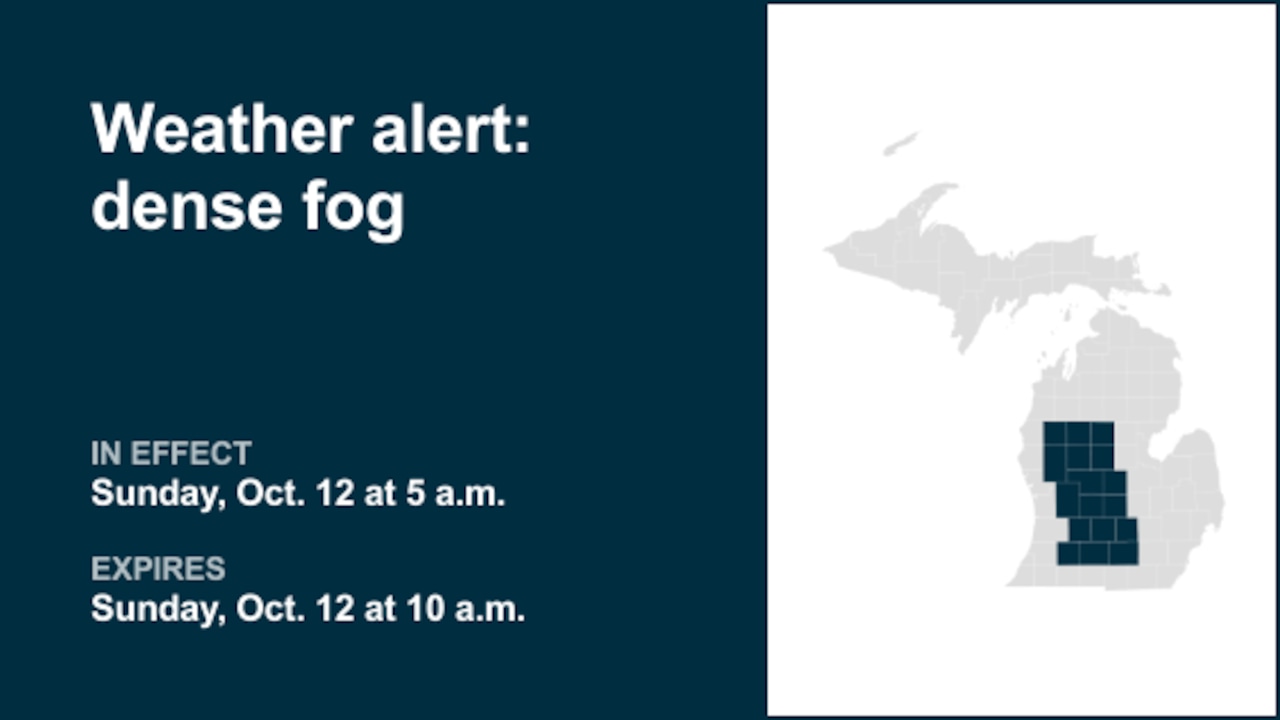 Weather alert issued for dense fog in Michigan until Sunday morning