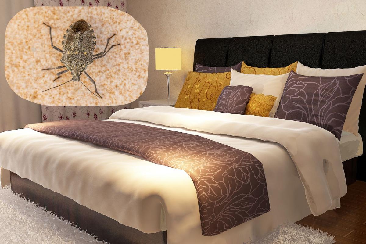 What NJ residents and visitors should know