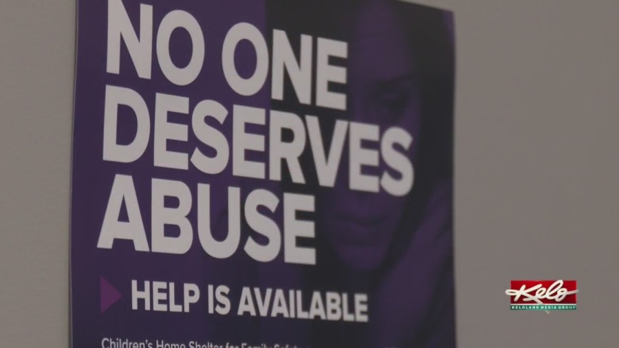 What resources are out there for domestic violence survivors?