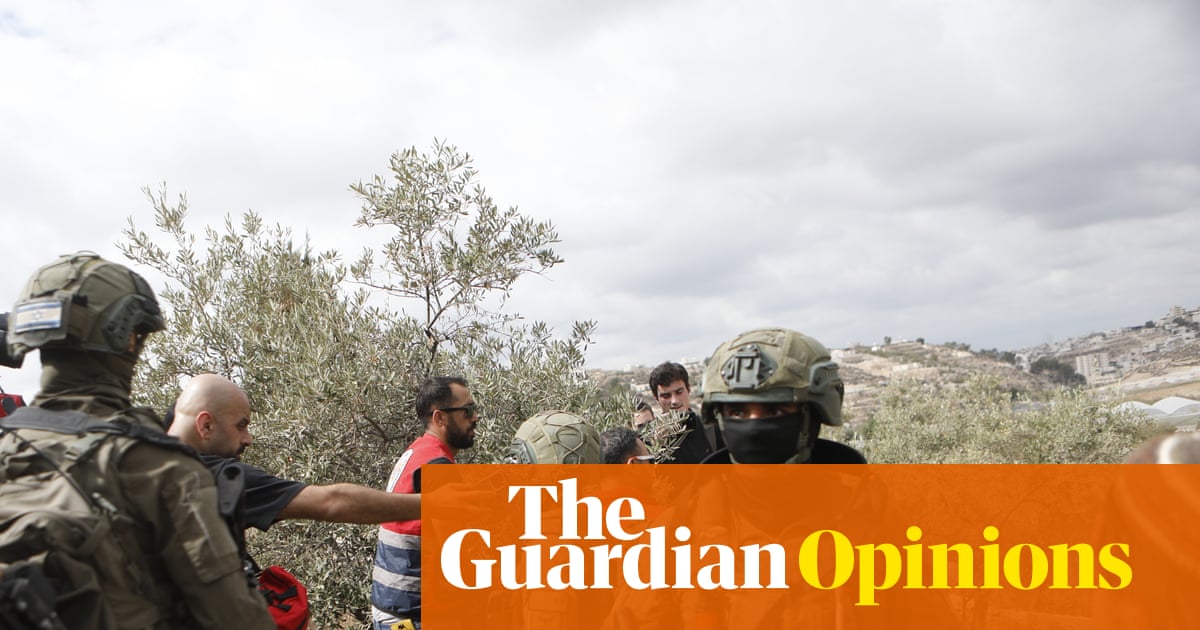 While the eyes of the world are on Gaza, Israeli settlers in the West Bank still behave with impunity | Ofer Cassif