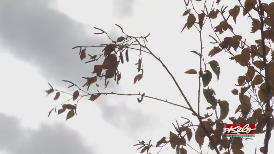 Why are there less storms in autumn?