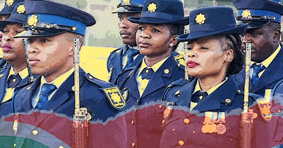 Will the Madlanga commission and parliamentary proceedings finally fix policing?