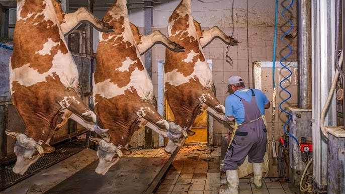 Yambio slaughterhouse declared public health threat