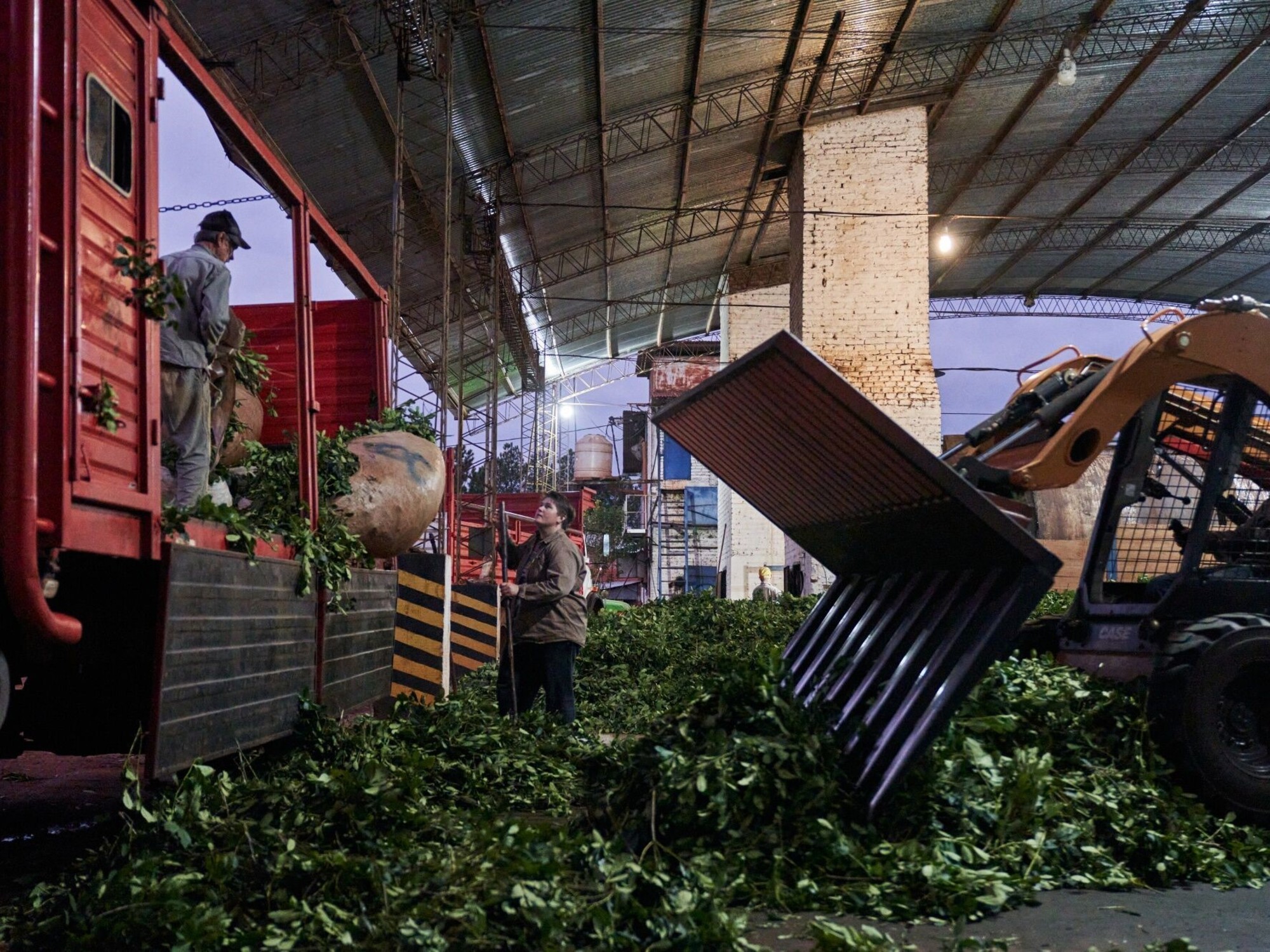 se enviaron al exterior en septiembre más de 7 millones de kilos