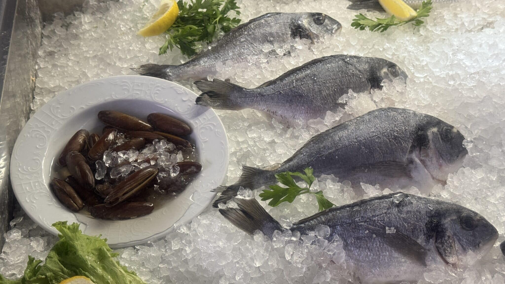 ‘Neum’s Law’: Bosnia’s Destructive Appetite for Date Mussels