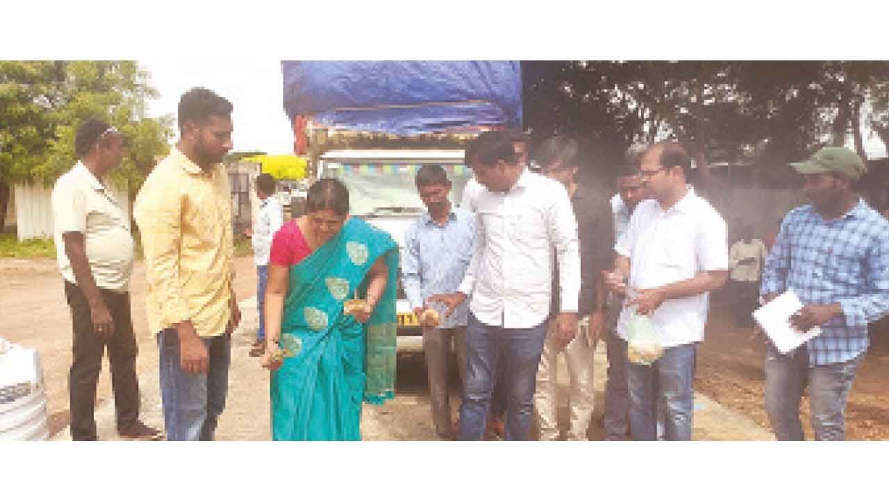 18L quintals cotton yield expected from Gadwal