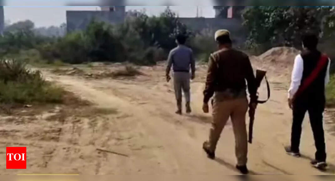 38 bighas of land worth Rs 80cr freed from mafia in Prayagraj | Prayagraj News