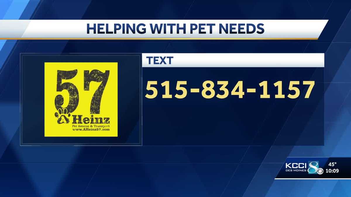 AHeinz57 helping families feed pets amid SNAP benefits shutdown