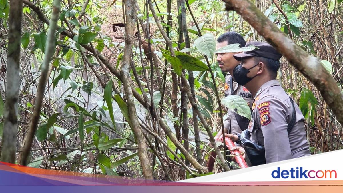 Aksi Sigap Pamapta Polres Kampar-TNI Padamkan Api Karhutla di 2 Ha Lahan