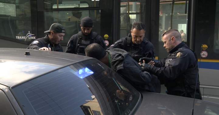 Alleged B.C. drug trafficker appears in court - BC