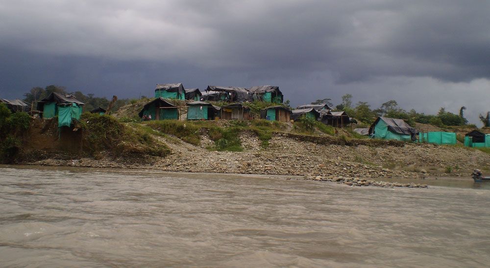 Amid systemic corruption, Amazon countries struggle to fight environmental crime