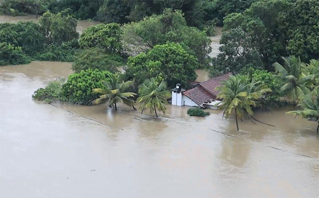 Authorities Issue Red Alert for Mahaweli Basin as Flood Risk Intensifies