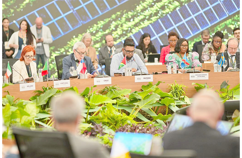 Balanced, fair energy transition must not protect the wealthy