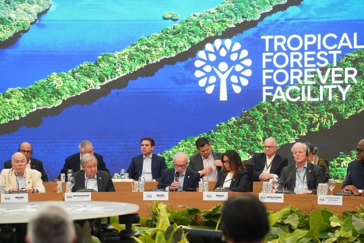 COP30 tropical forest fund may drive debt and deforestation, groups warn