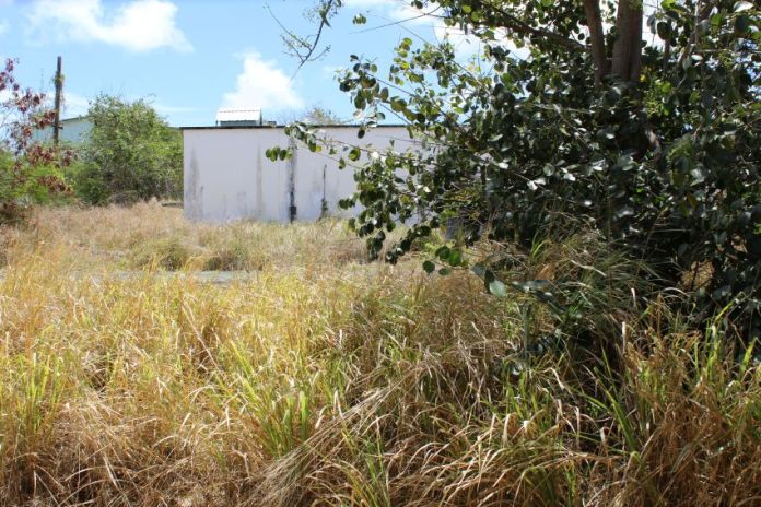 Changes to health services act places focus on property owners in Barbados