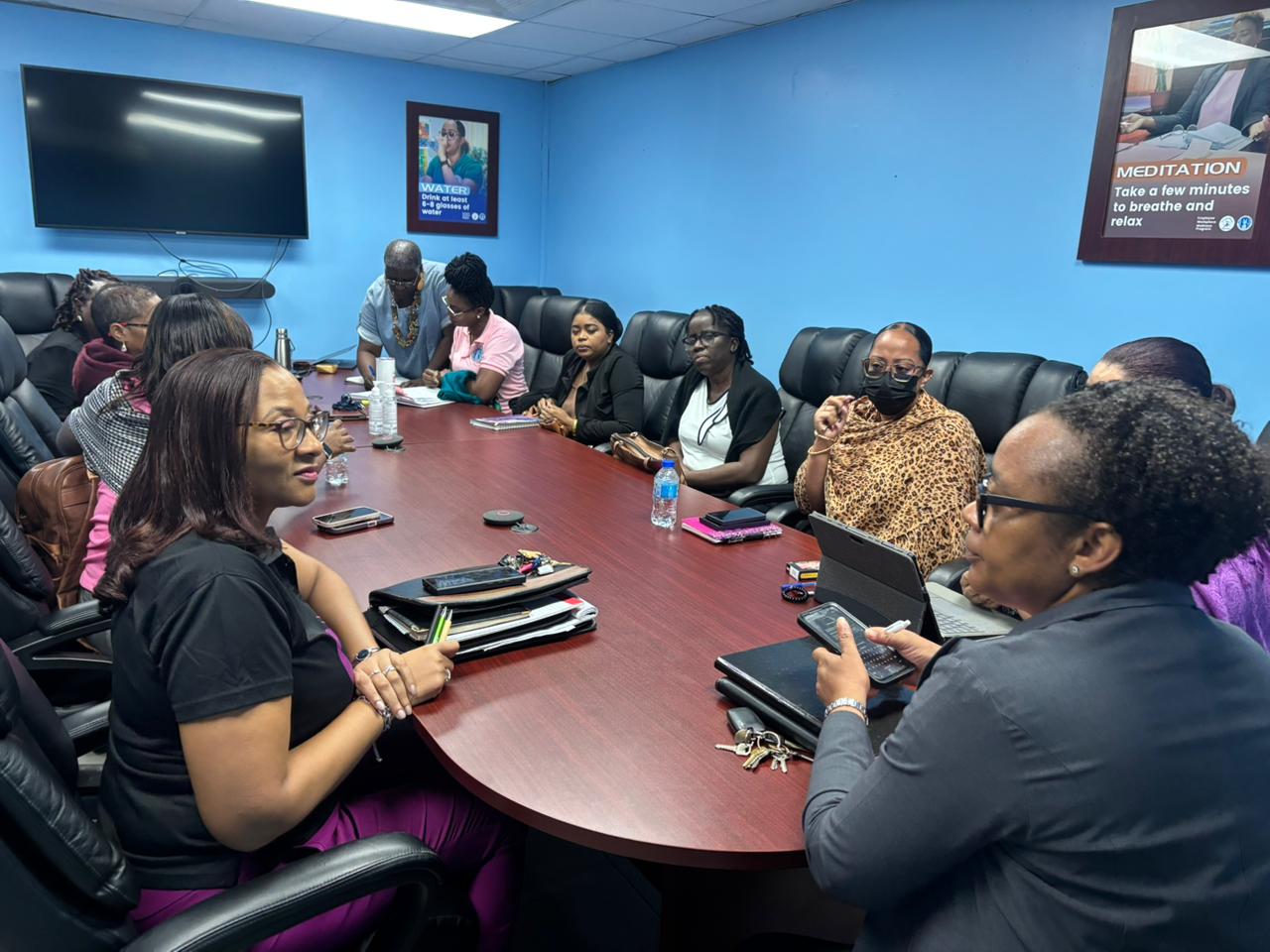 Consultation confirms gaps in inclusion as Saint Lucia advances disability policy