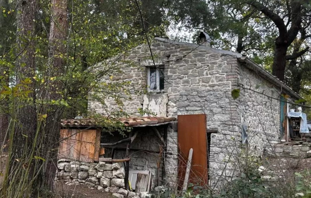 The removal of children from a rustic property receives political backlash