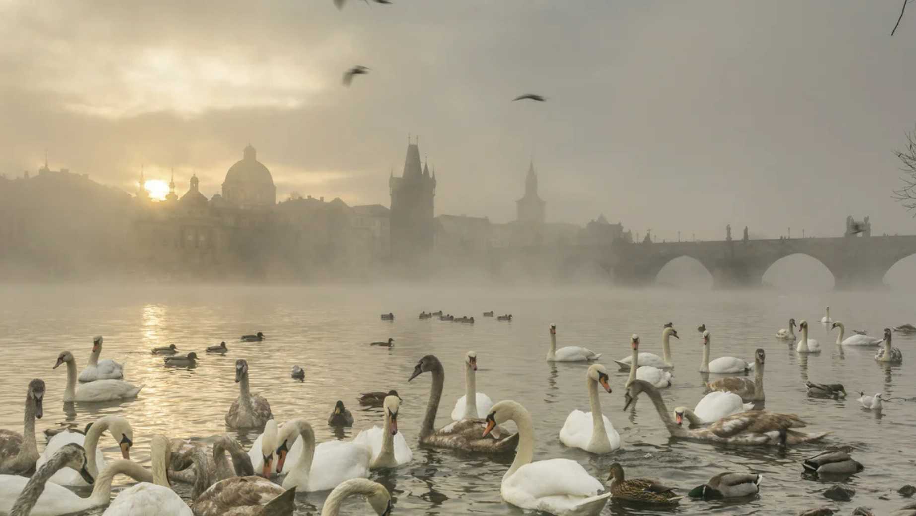 Czechia Braces for Sharp Weekend Temperature Drop