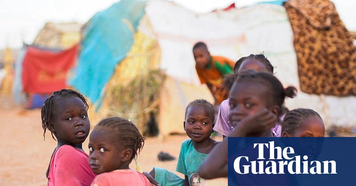 Dire warnings over aid and hunger following RSF’s capture of Sudanese city | Sudan