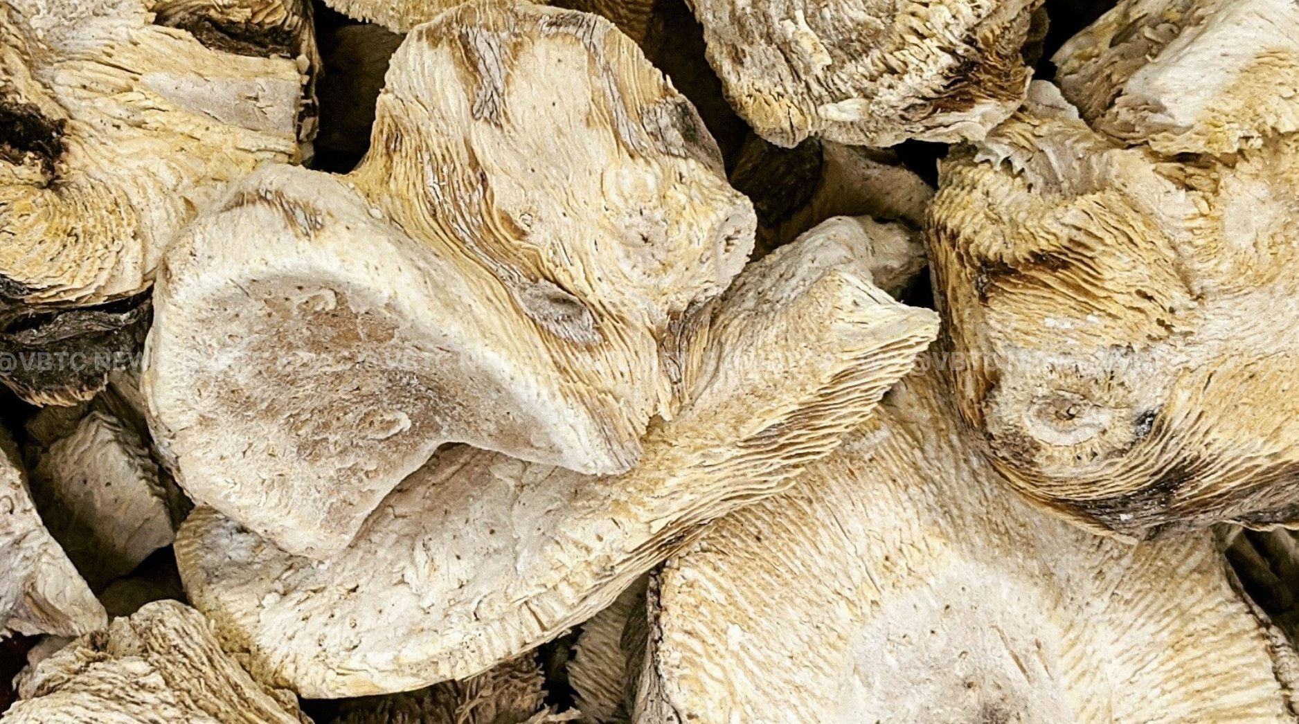 Director Proven Wrong but Kava Exporter not Entitle to Damages