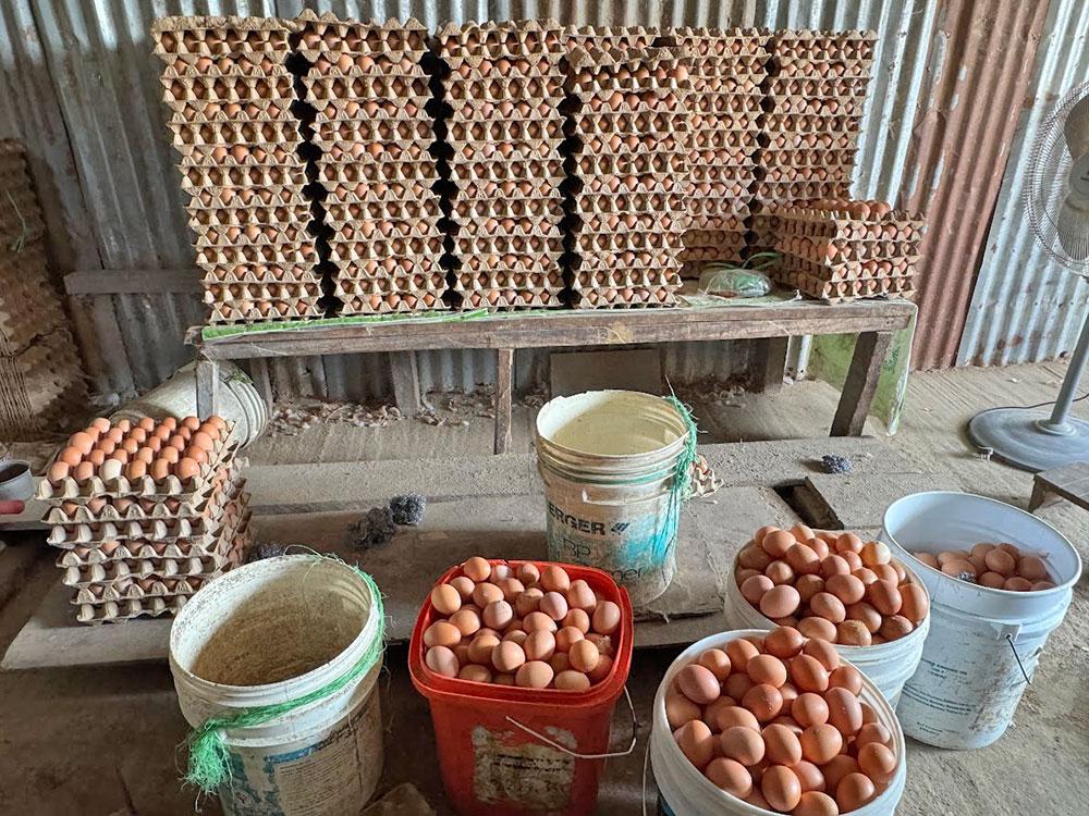 Egg prices in Bhutan hit record high amid nationwide shortage
