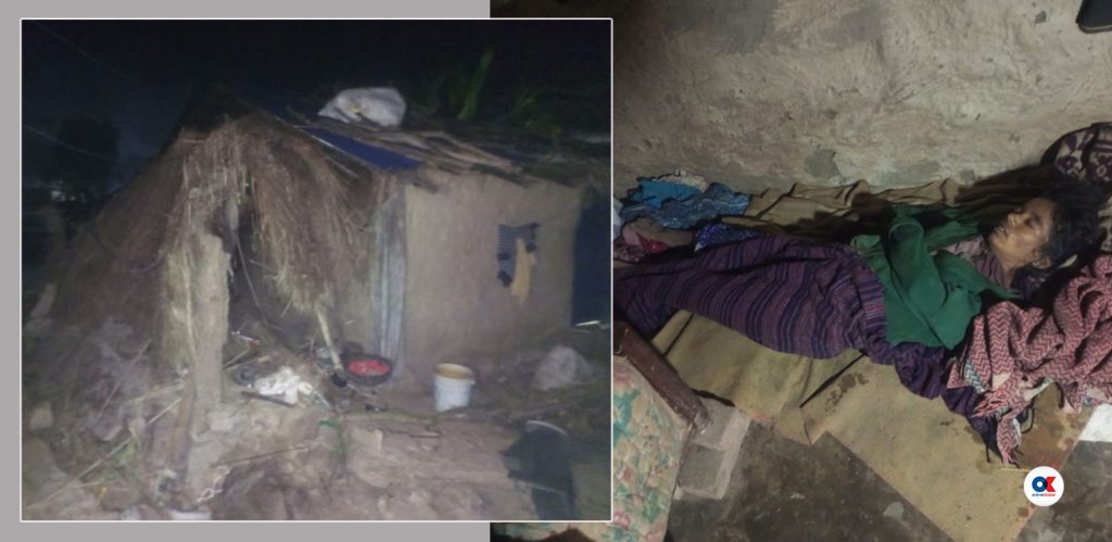 Elephant destroys house and kills woman in Kanchanpur