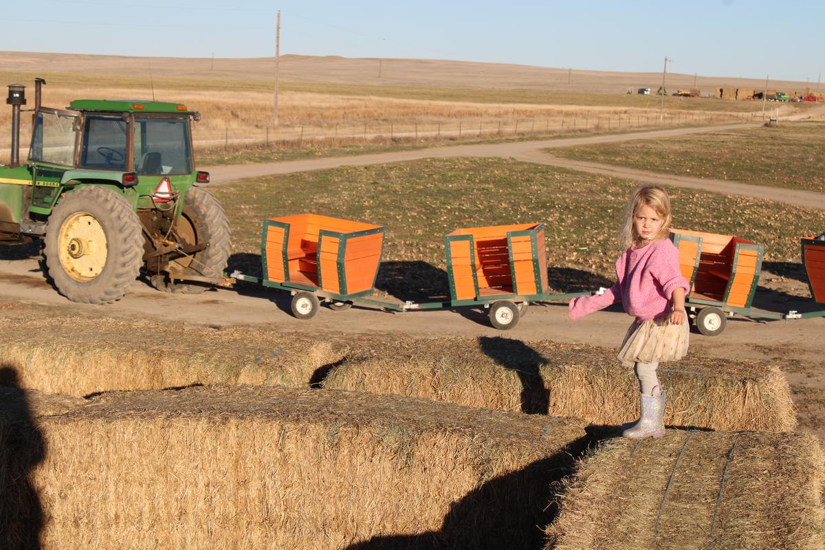 Enjoy A Family Day At Green Acres Corn Maze In Wyoming