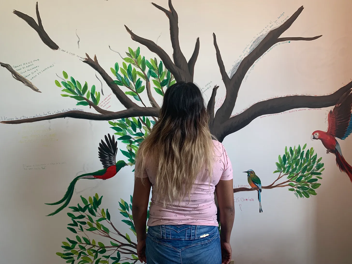 Families Are Suffering from Ramped Up US Deportations