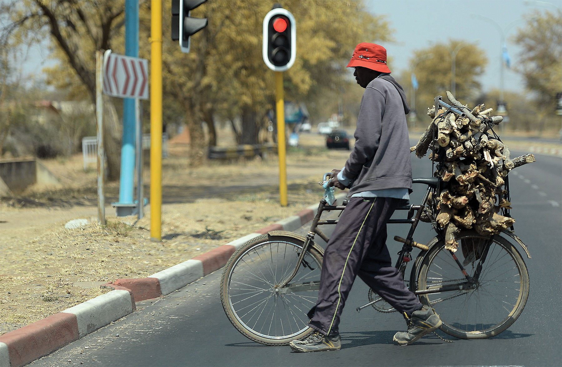 Fuelwood dependency deepens Botswana’s forest strain