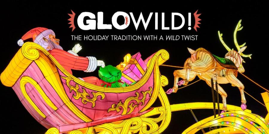 GloWILD is returning to Little Rock Zoo