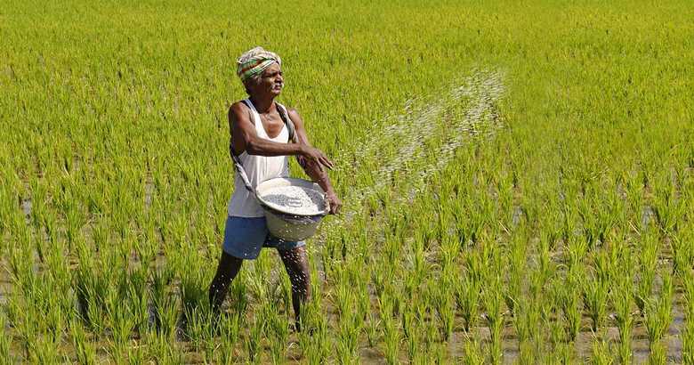 Government to Recover Subsidy Funds from Farmers Who Leave Land Uncultivated