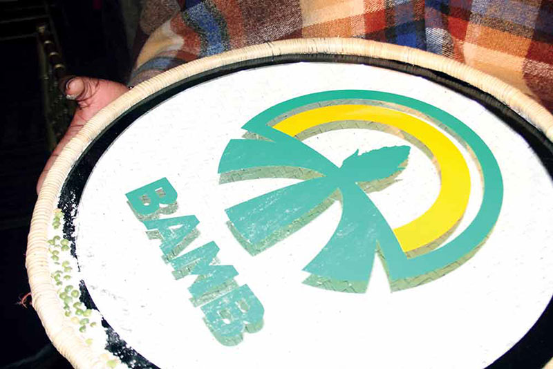 Gov’t picks Scheepers to steer troubled BAMB