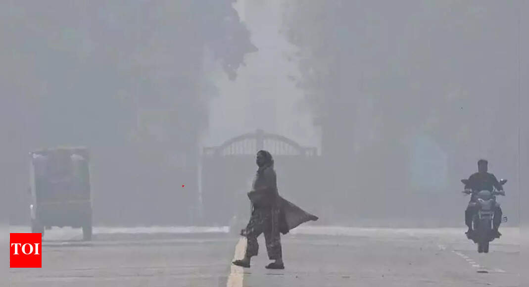 How Delhi is caught in a poisonous loop | Delhi News