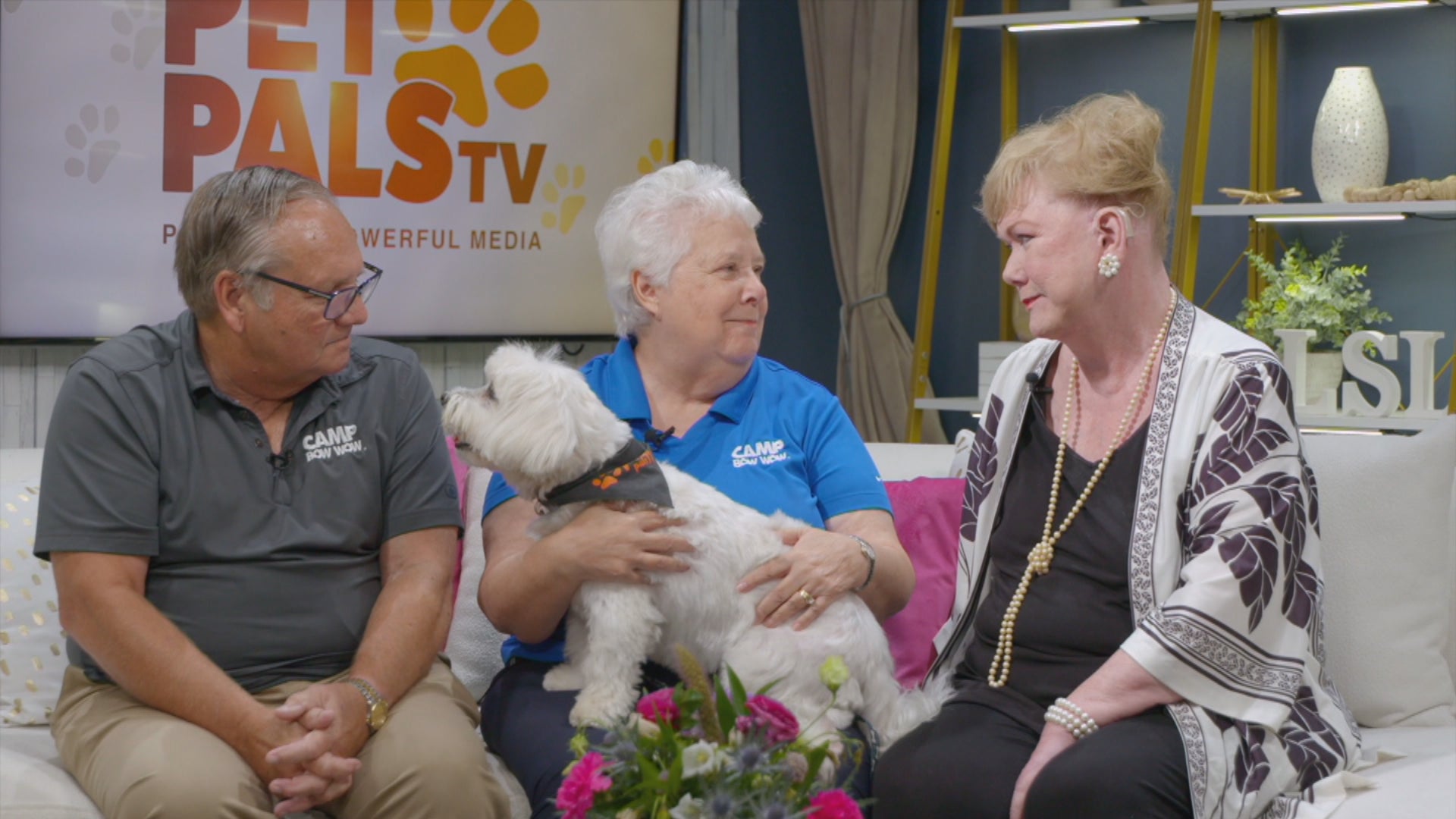 How a dog day care franchise helps canines make friends - Indianapolis News | Indiana Weather | Indiana Traffic