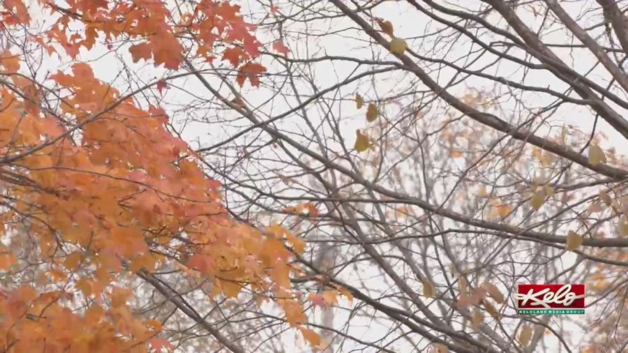 How warm has this autumn been?