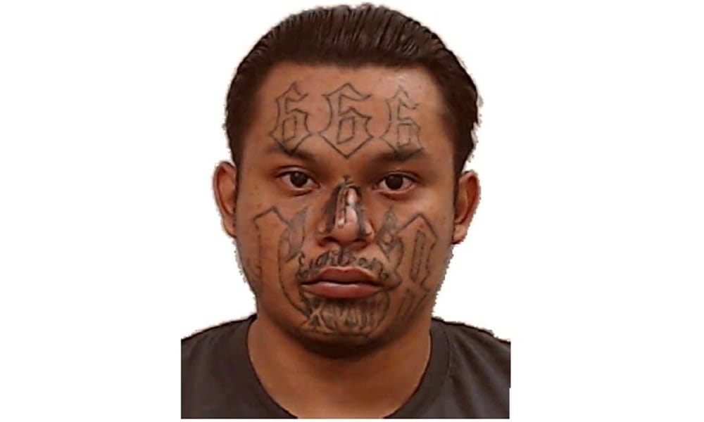 ICE Detains High-Profile Gang Member from El Salvador in U.S.