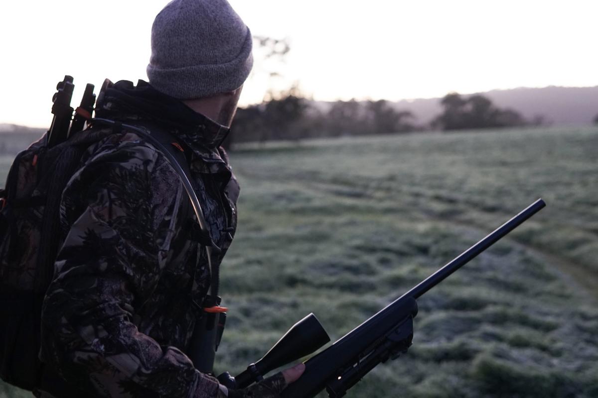 Idaho Falls Man Sentenced For Illegal Hunting In Wyoming