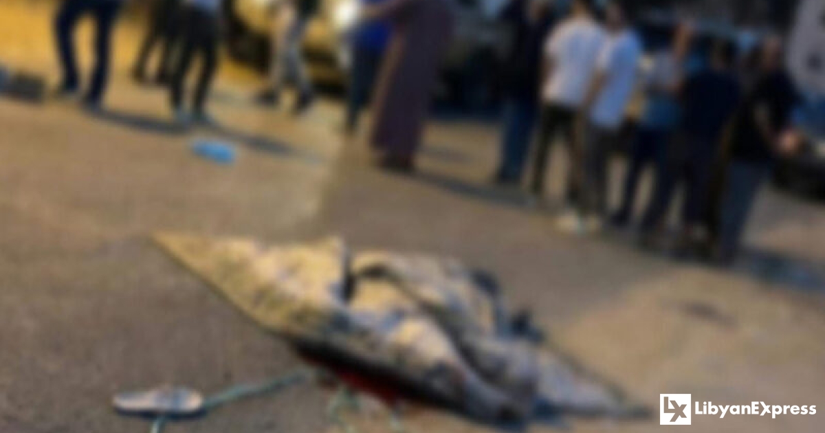 Interior minister orders probe into killing of Khansa Mujahid