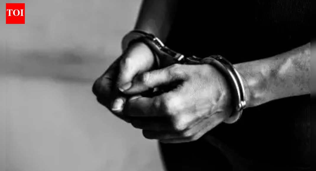 J&K: Man arrested in connection with 'white collar' terror module in Srinagar | India News