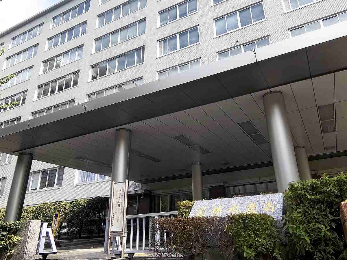 Japan Resumes Scallop Exports to China