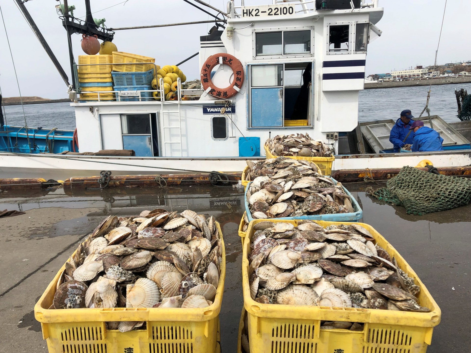 Japan resumes seafood exports to China after ban over Fukushima wastewater | Fukushima News