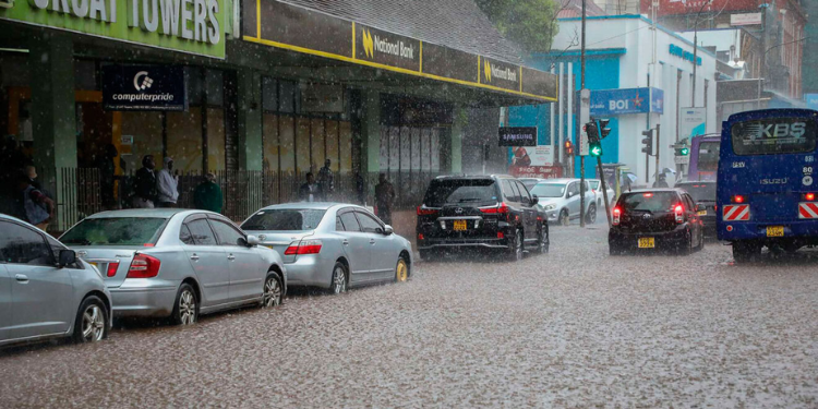 Kenya Met Issues 5-Day Weather Forecast Highlighting Regions To Experience Rainfall, Including The Weekend