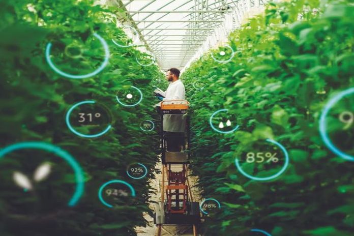 Latin America - the Caribbean can boost growth and development through more dynamic, diversified economies